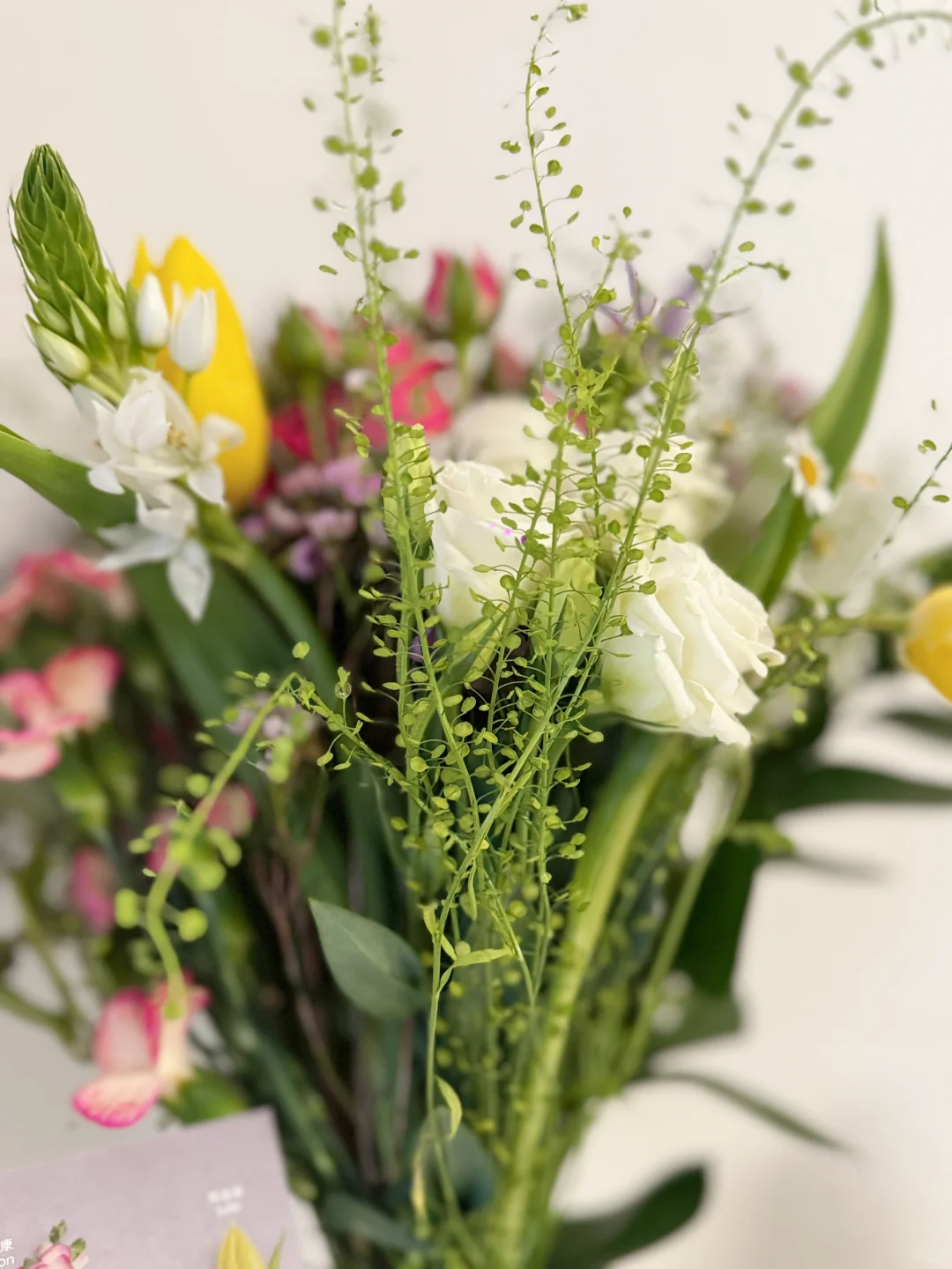 国家会展中心咖啡展攻略！