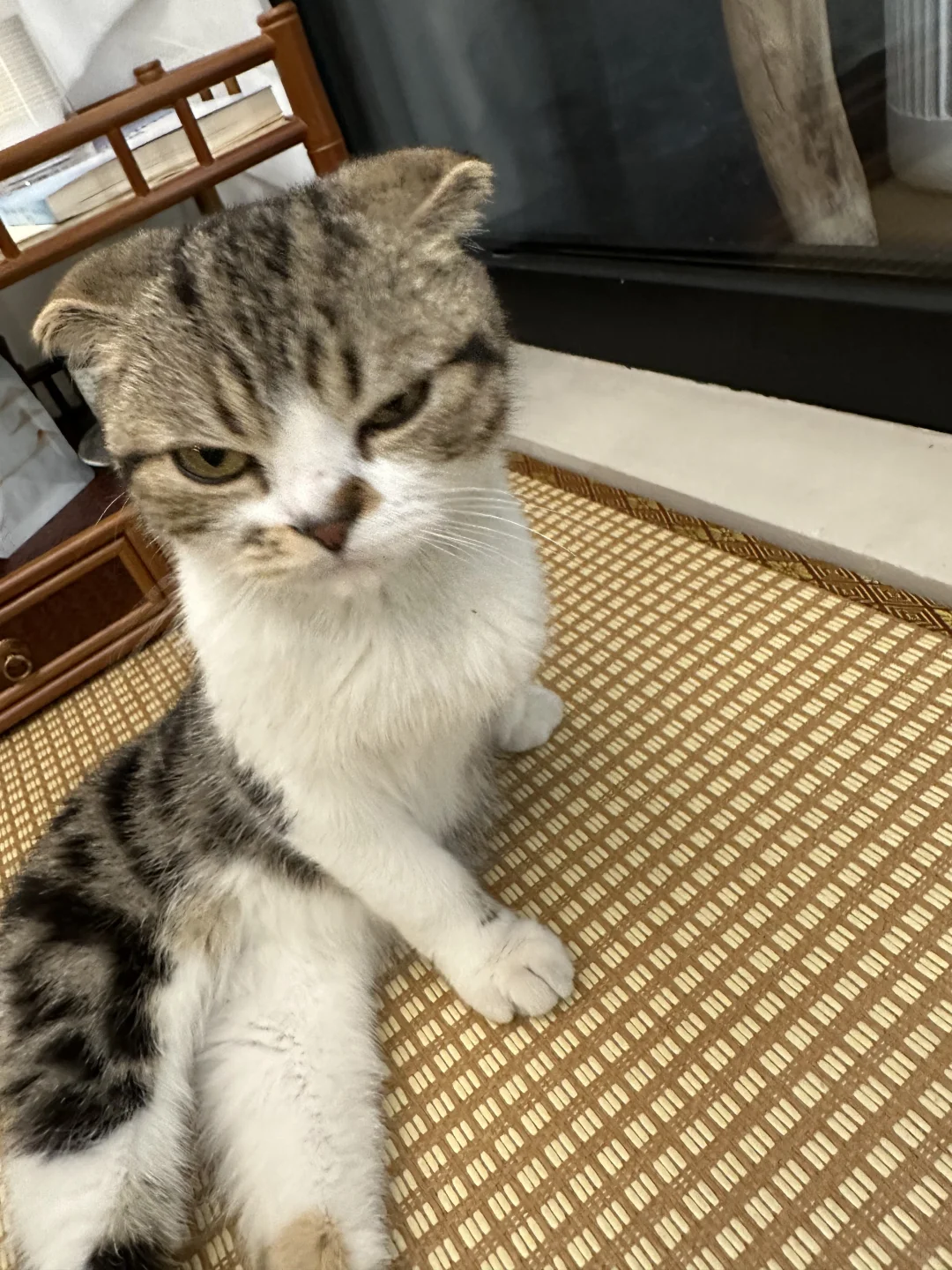 会展人看看我吧?