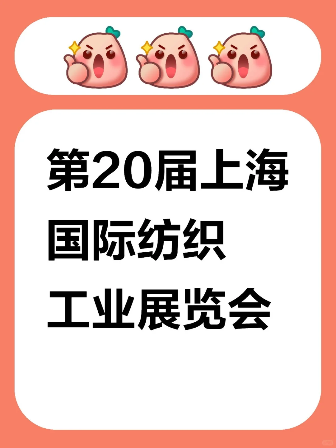 第20届上海国际纺织工业展览会