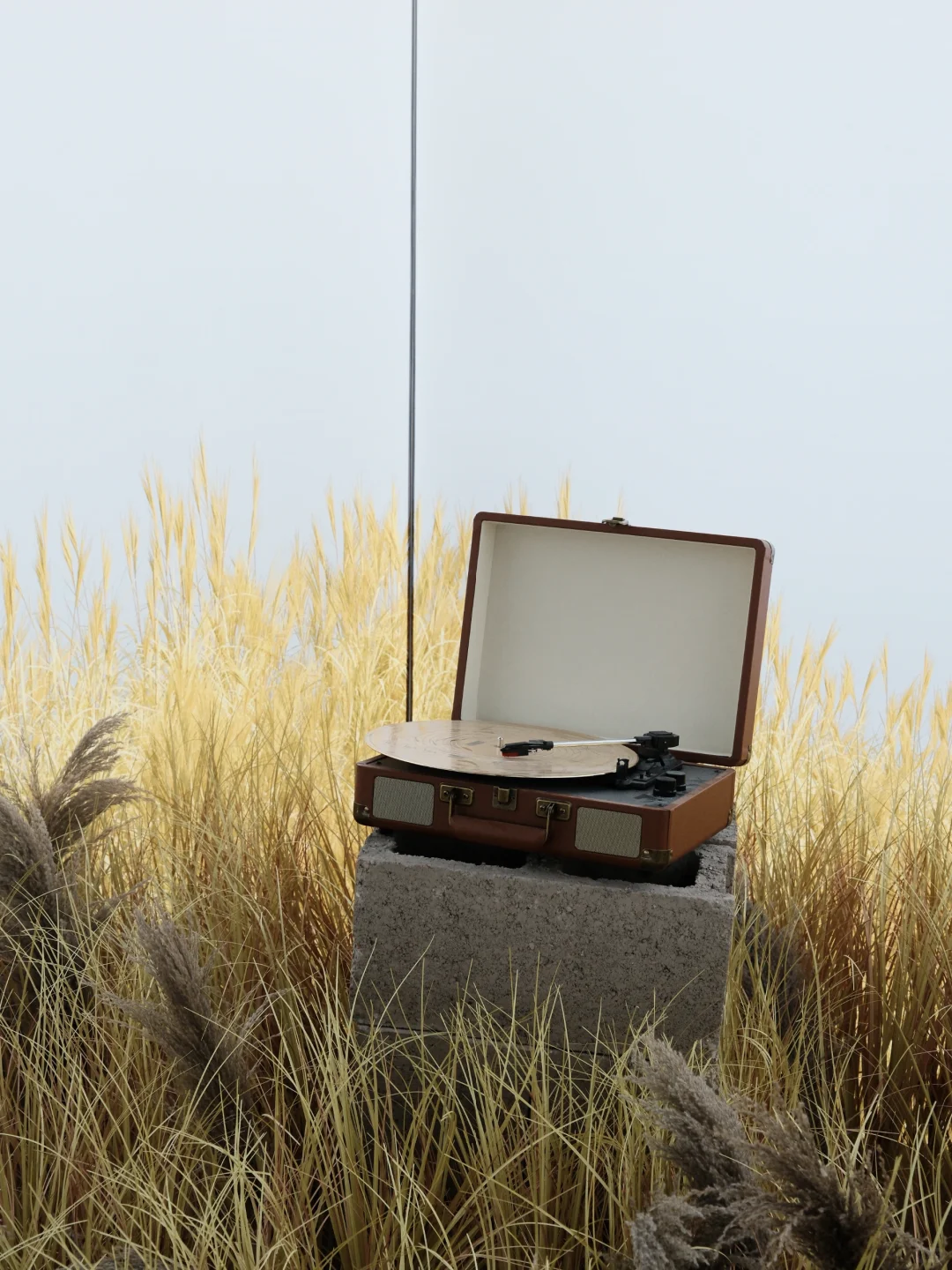 上海新展 | 人面对天空 总是向往再向往