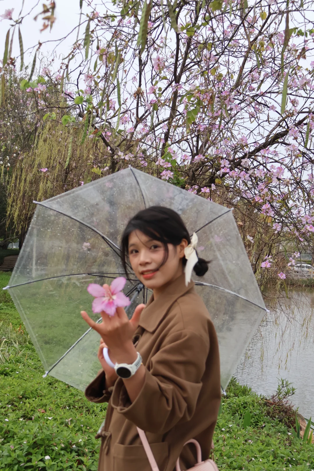 清理内存计划2：广州会展公园