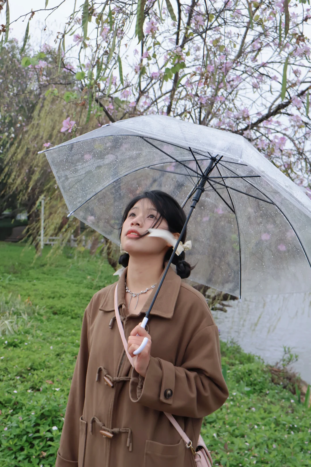 清理内存计划2：广州会展公园