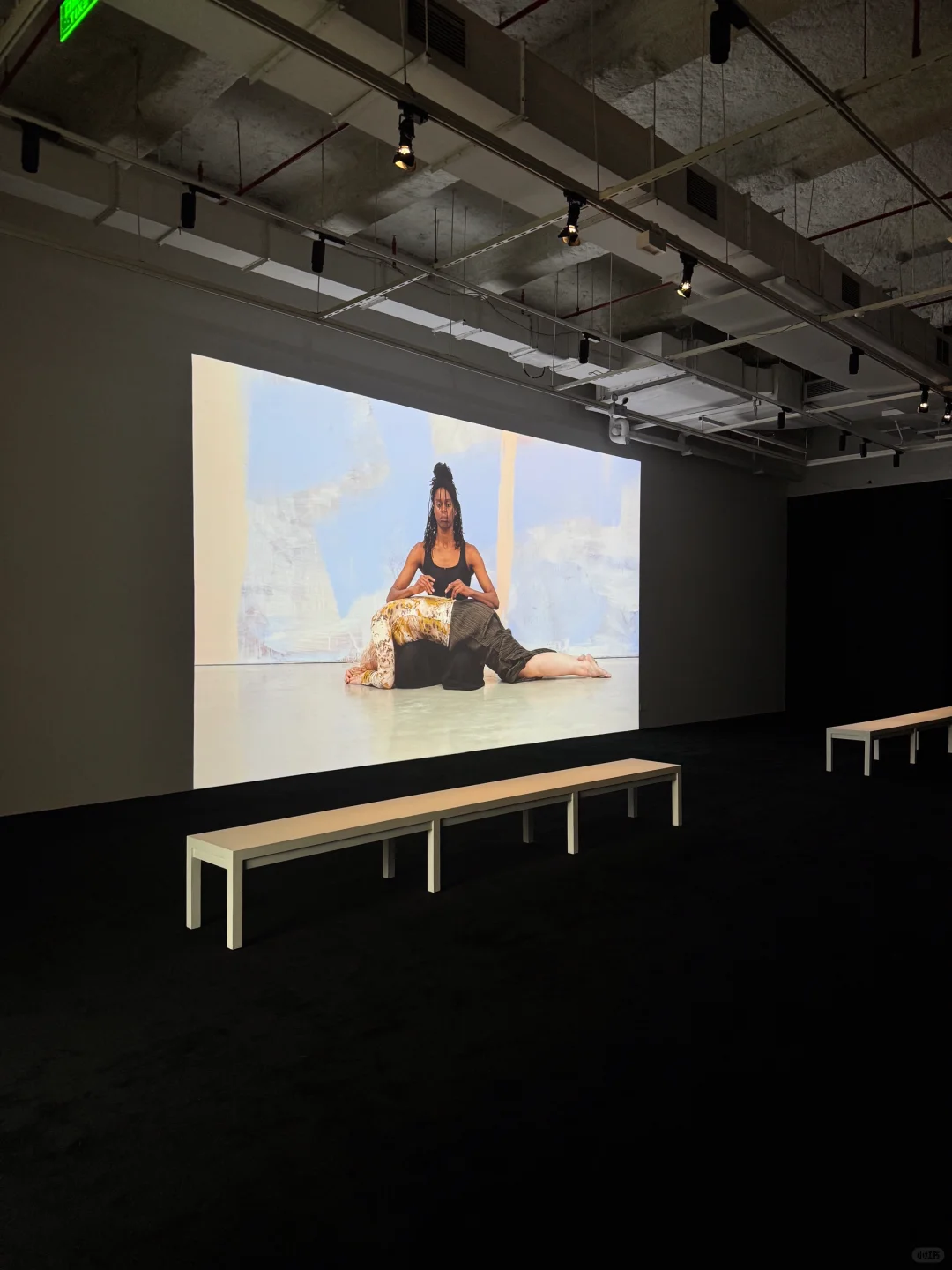 北京新展❗️LV艺术空间展览《自然之绘》