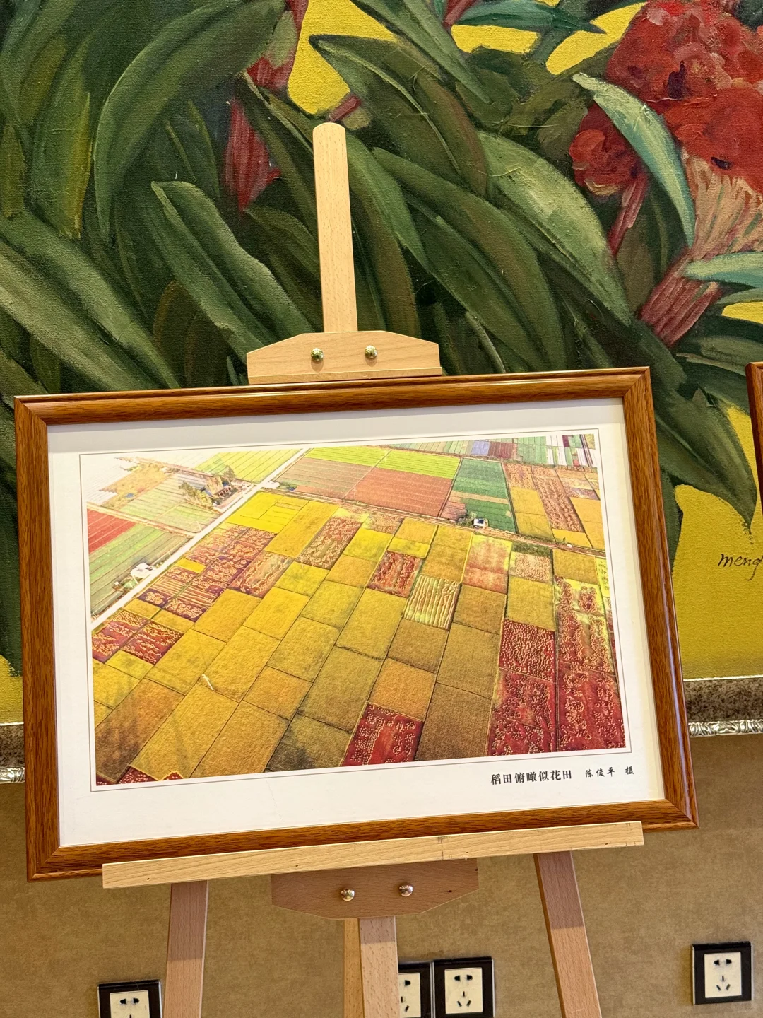 重庆新展！入昆嵩明！！田园风光油画展?️