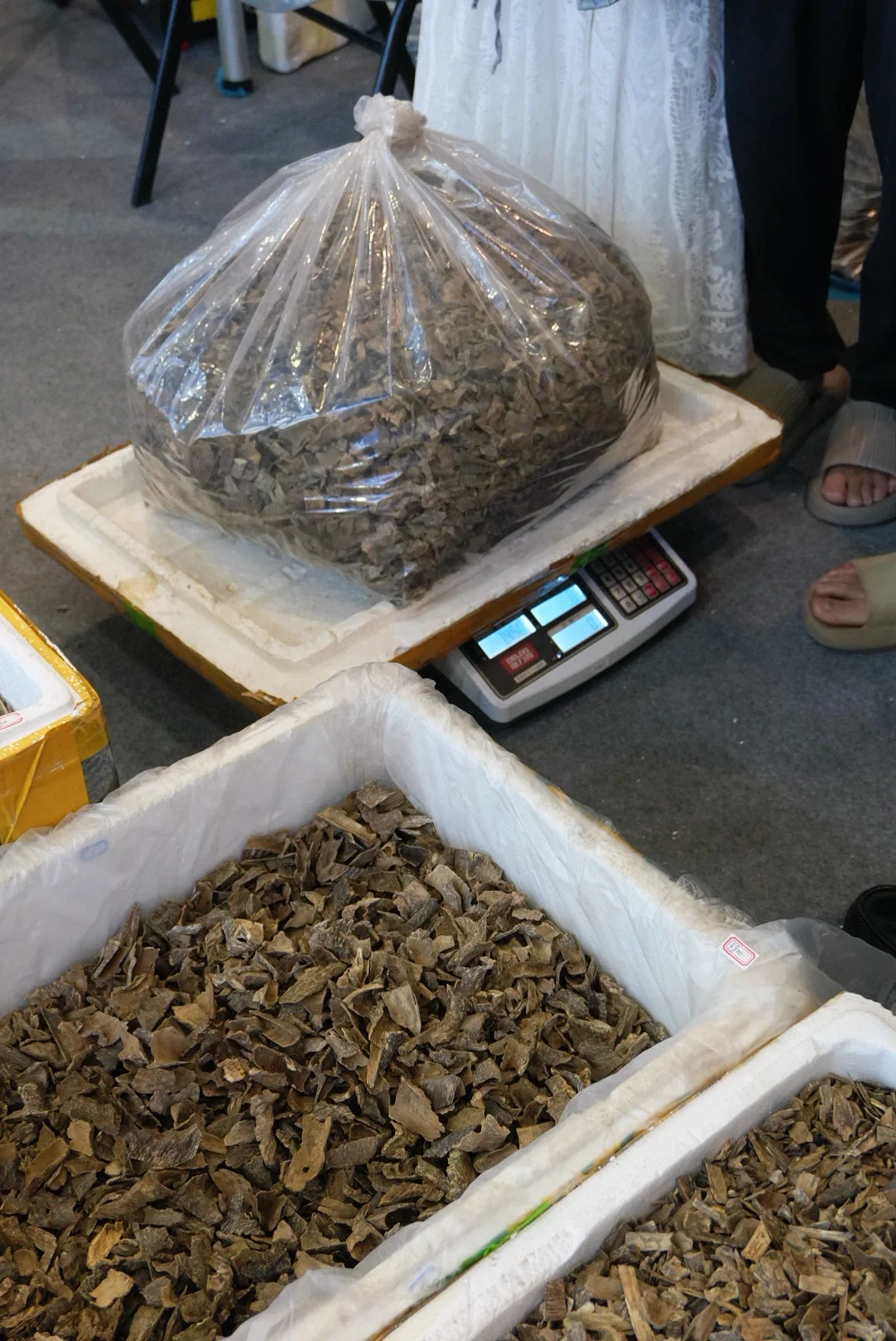 谁家主理人十一点还在见朋友?展会结束啦