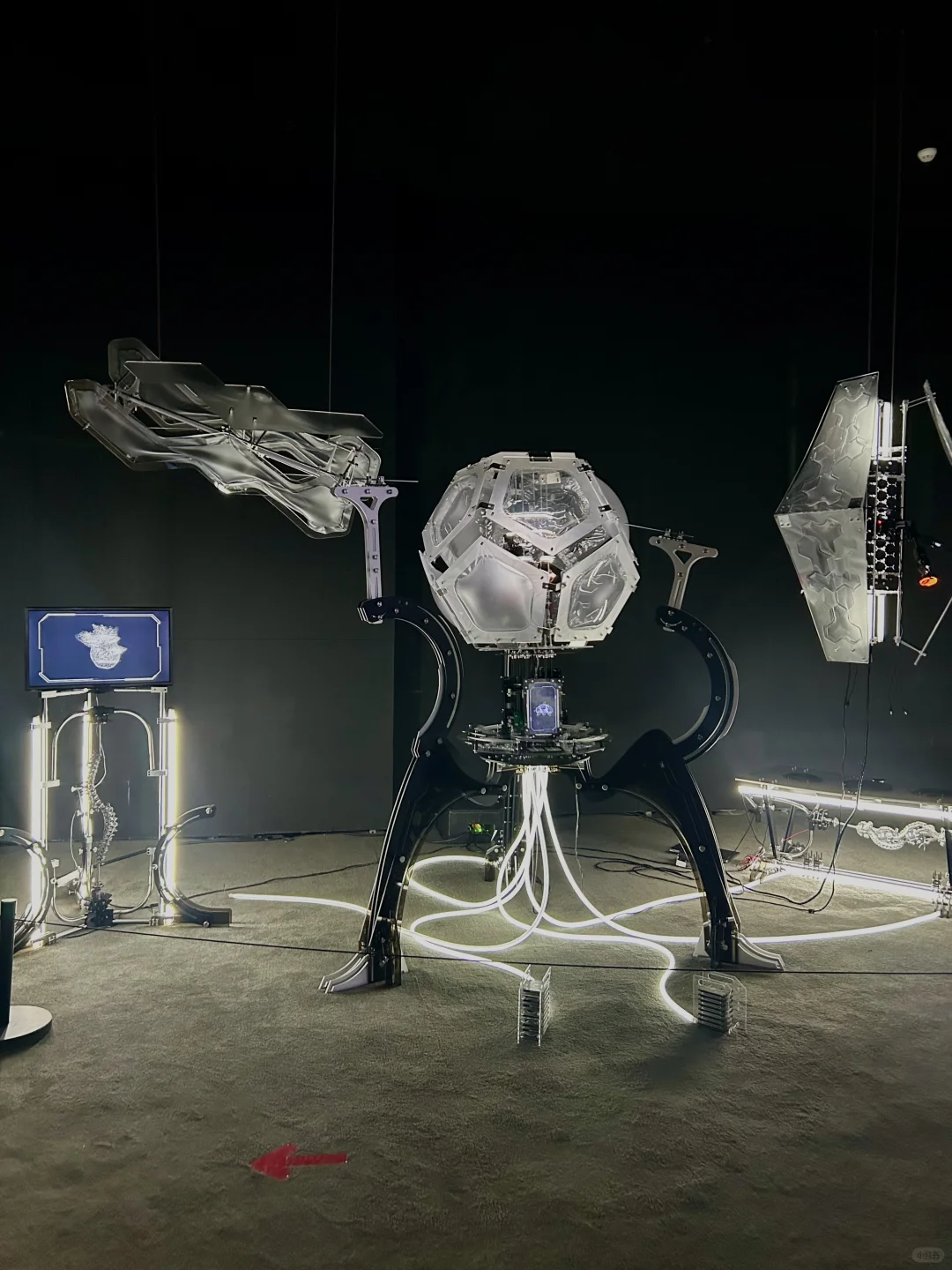 北京新展｜数字艺术 未来感拉满?