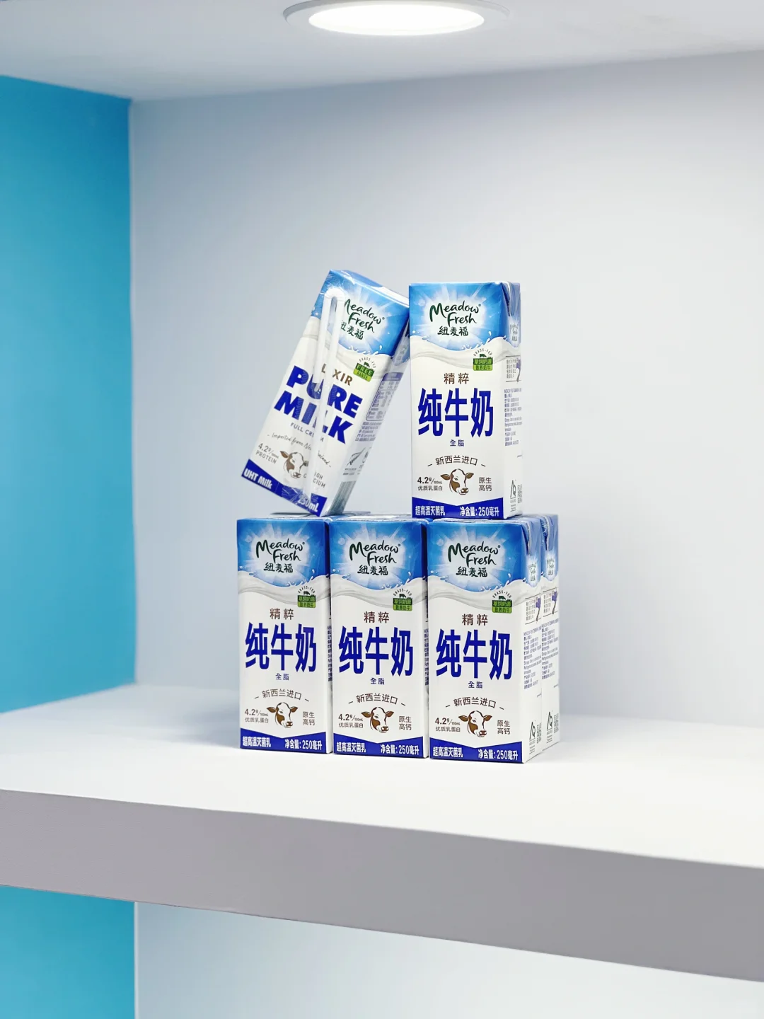 纽麦福带着牛奶来世界食品博览会啦?