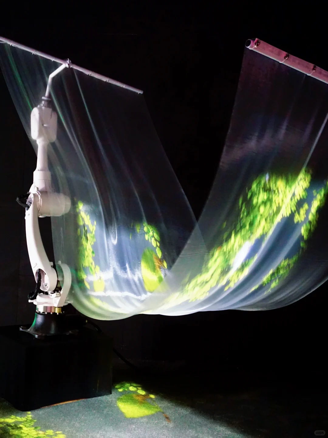 亚洲数字艺术展探秘?科技与艺术撞个满怀