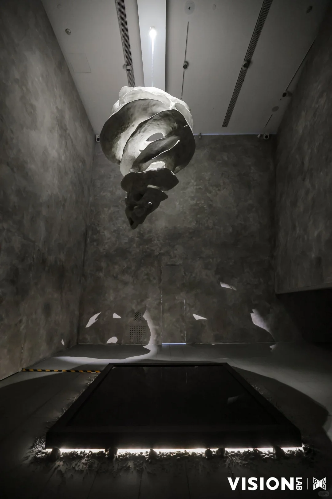 ?五一必冲!马斯克同款占卜展藏在北京!