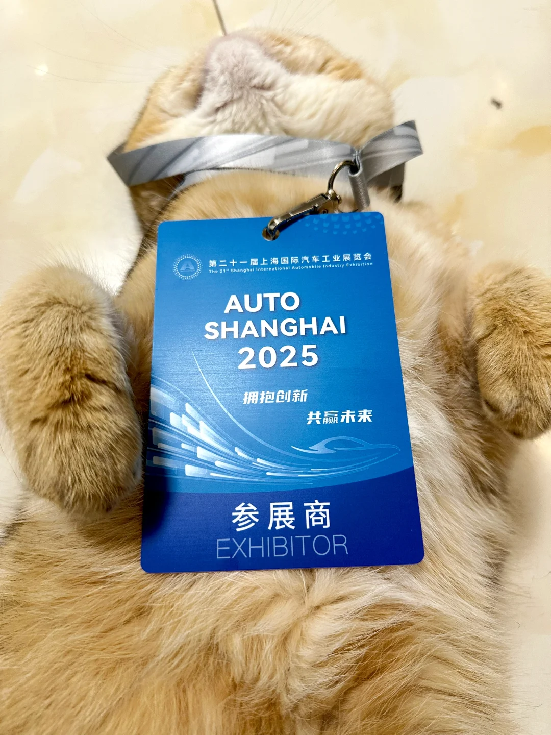 明天车展要见“樊振东”了，你想问他什么？