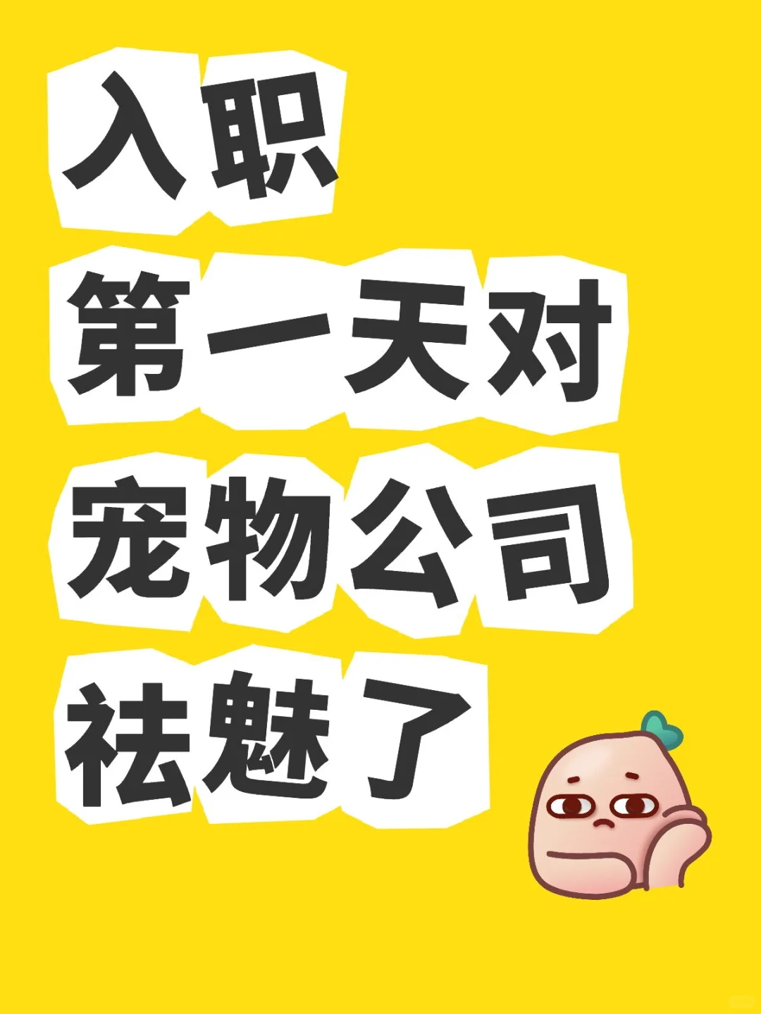 入职第一天对宠物公司祛魅了