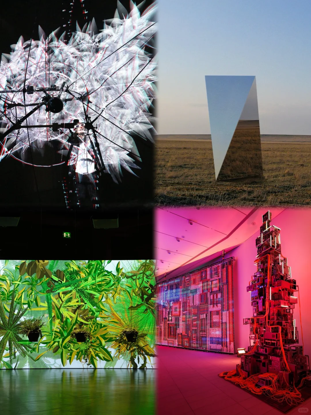 ?五一必冲!马斯克同款占卜展藏在北京!