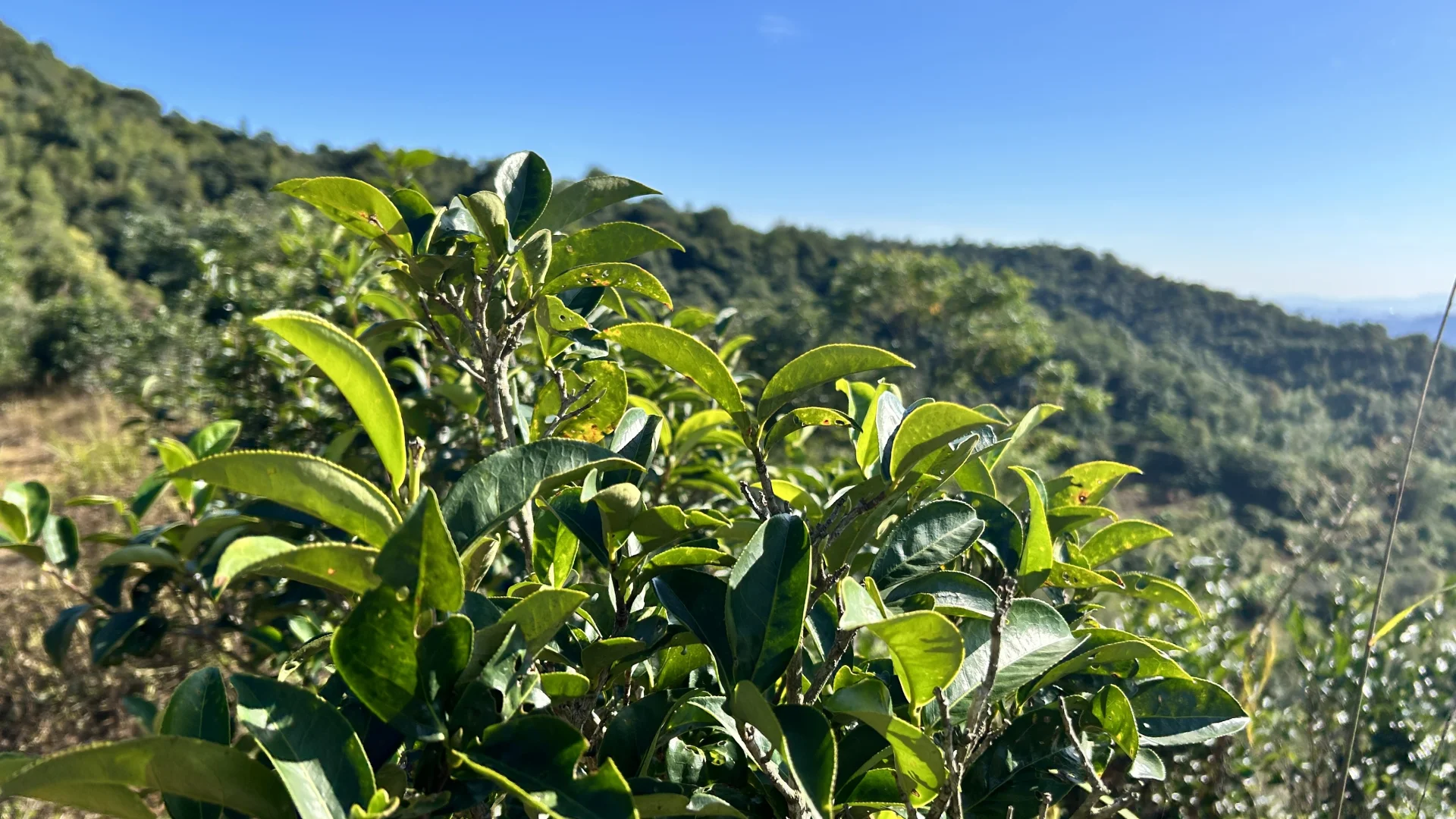 诚聘外贸业务员（出国+展会）‼️‼️