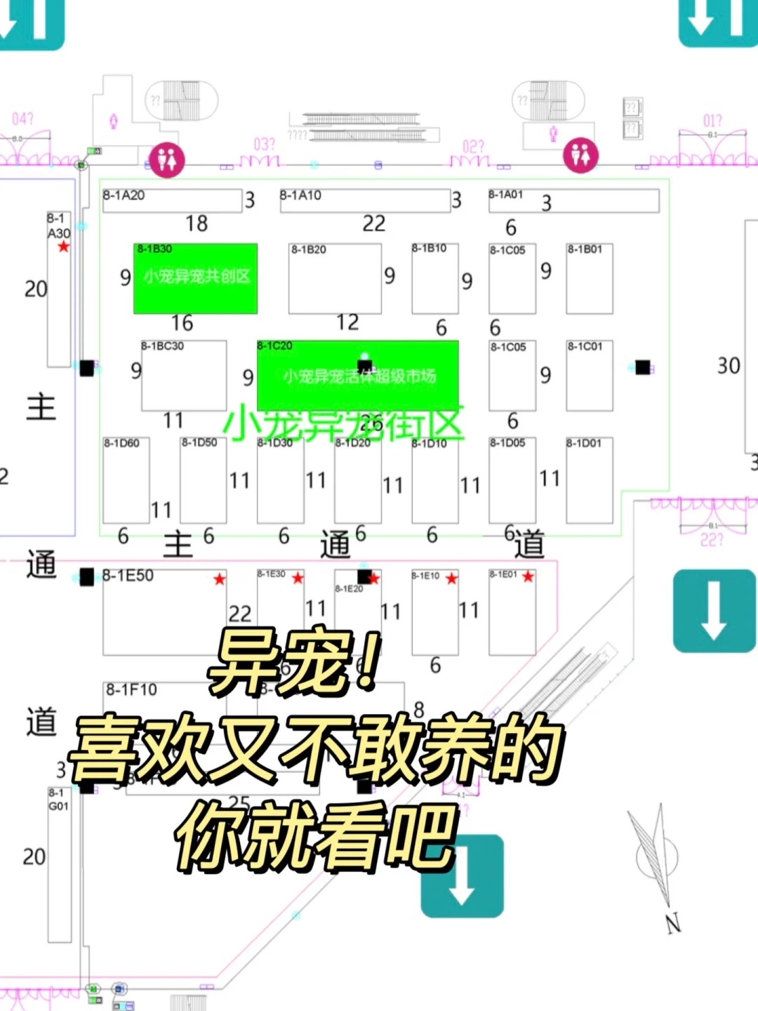 2025上海它博会！！喂饭攻略到！