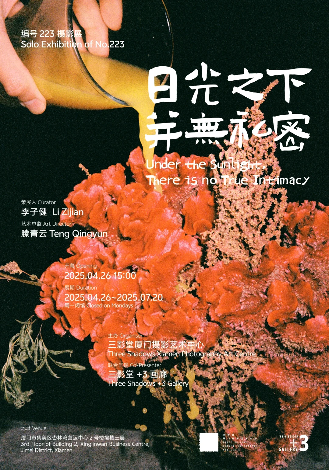 展览｜谁家摄影师的展览会做11张海报啊？