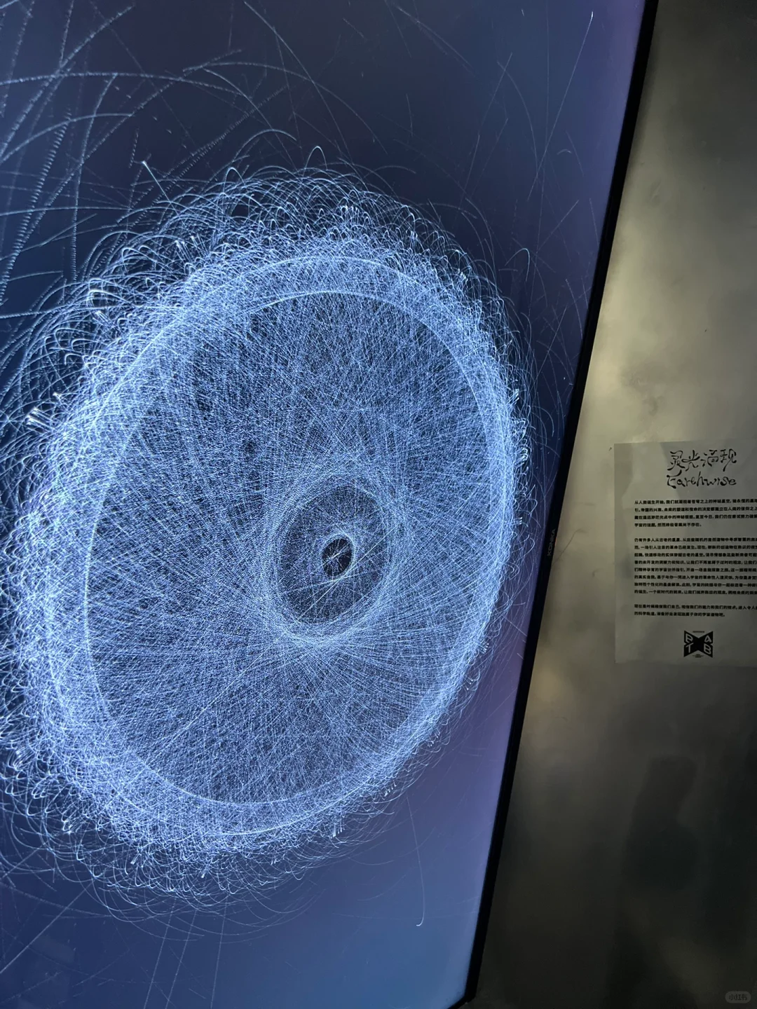 ?五一必冲!马斯克同款占卜展藏在北京!