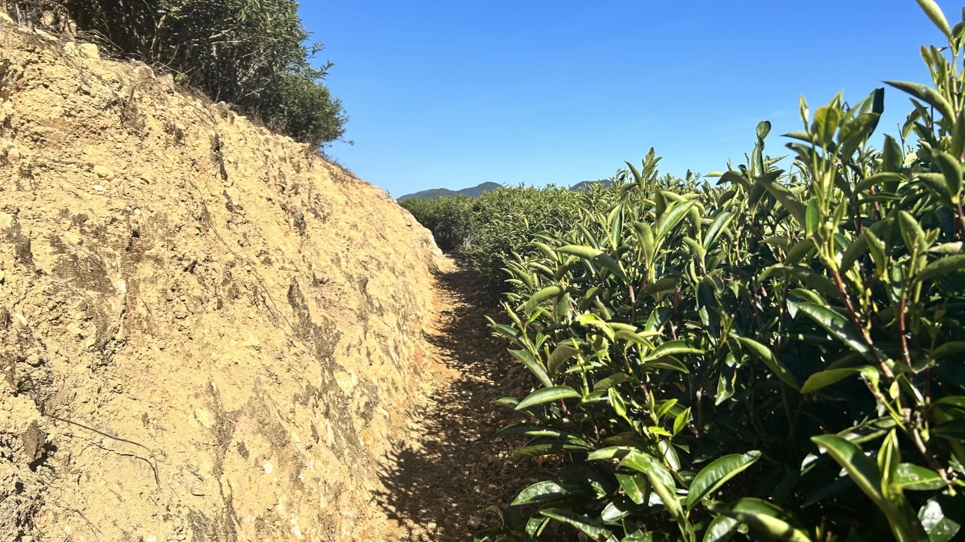 诚聘外贸业务员（出国+展会）‼️‼️