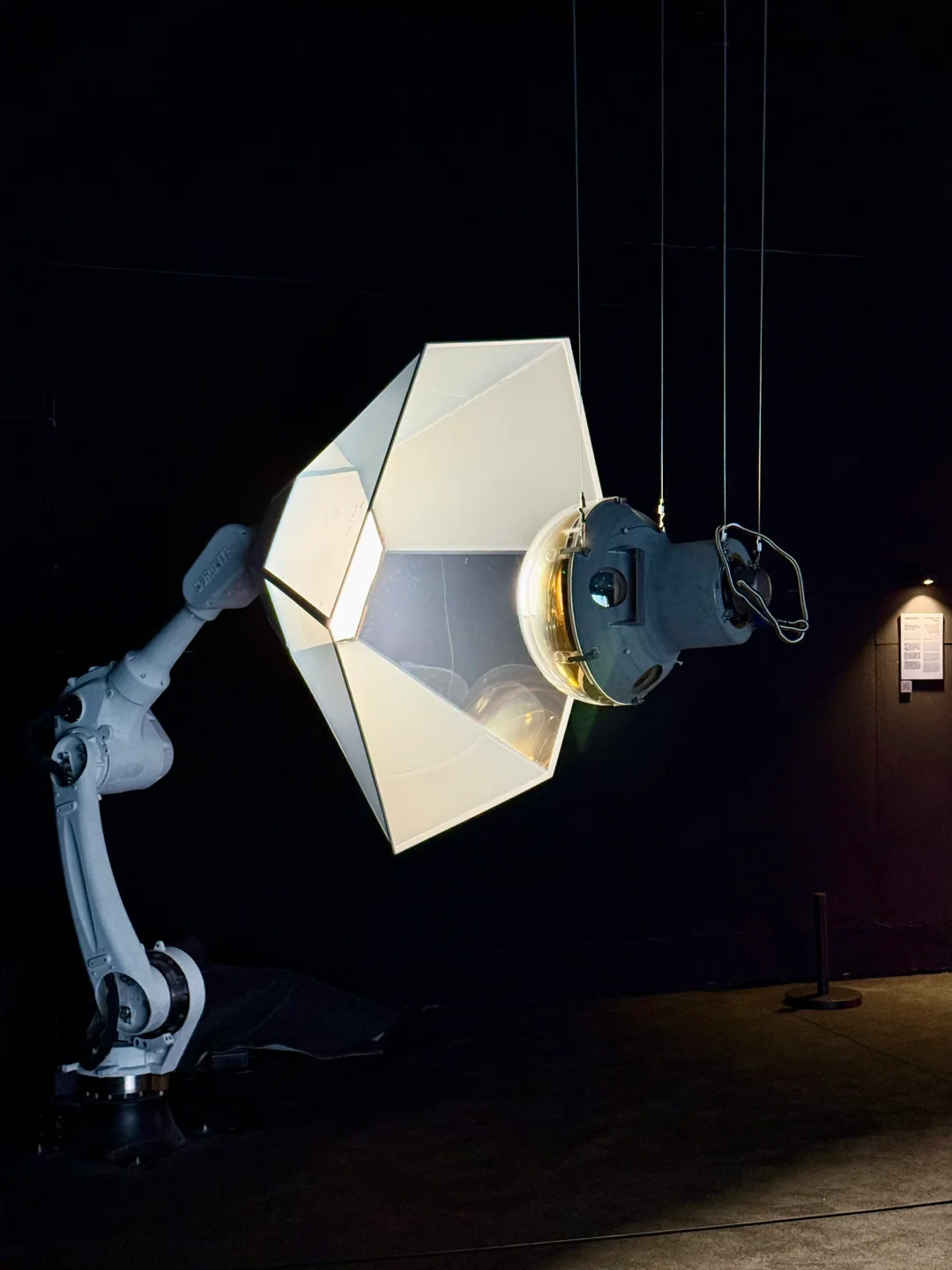 亚洲数字艺术展探秘?科技与艺术撞个满怀