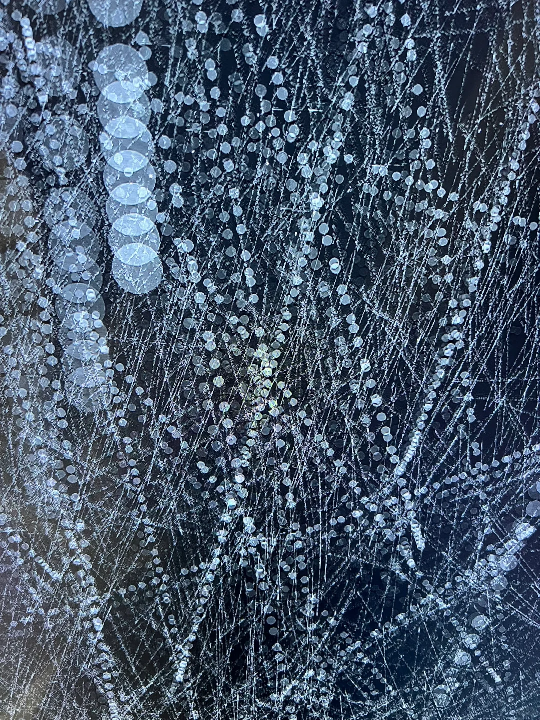 ?五一必冲!马斯克同款占卜展藏在北京!