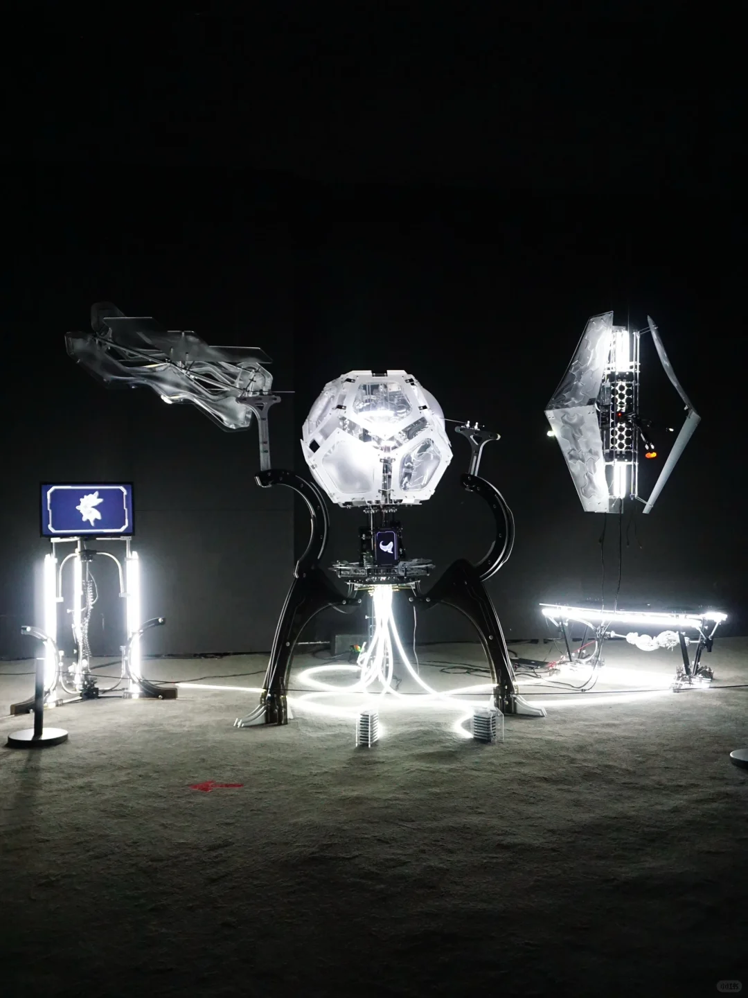 亚洲数字艺术展探秘?科技与艺术撞个满怀