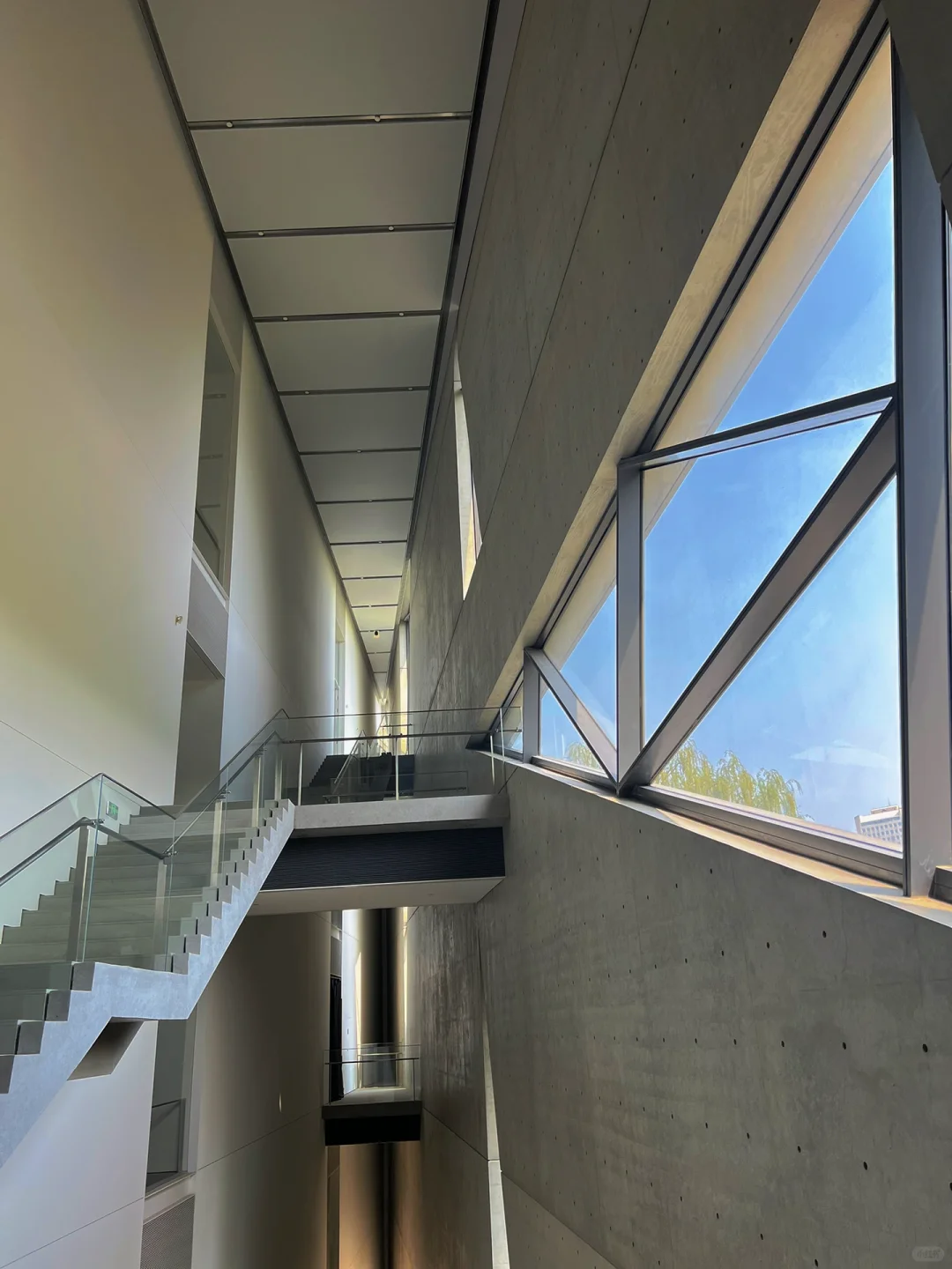 ?五一必冲!马斯克同款占卜展藏在北京!