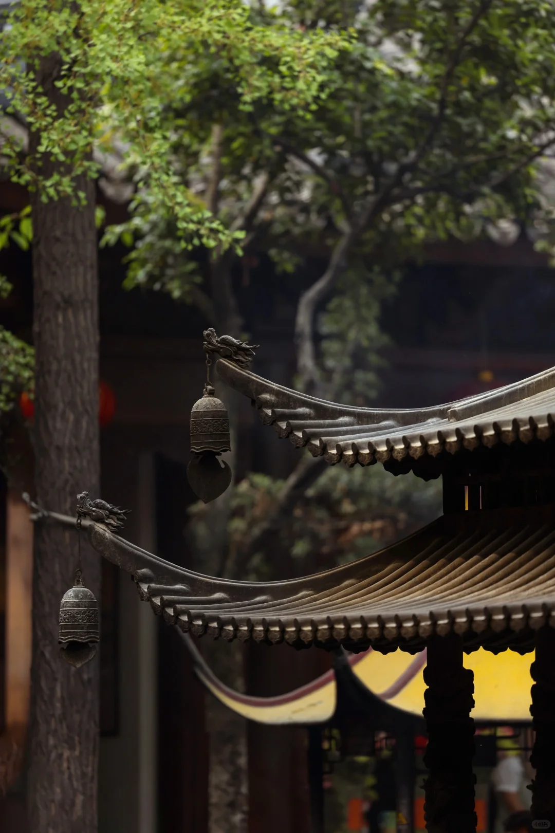 2025 WORLD OF FENDI | 百年匠心 东方相遇