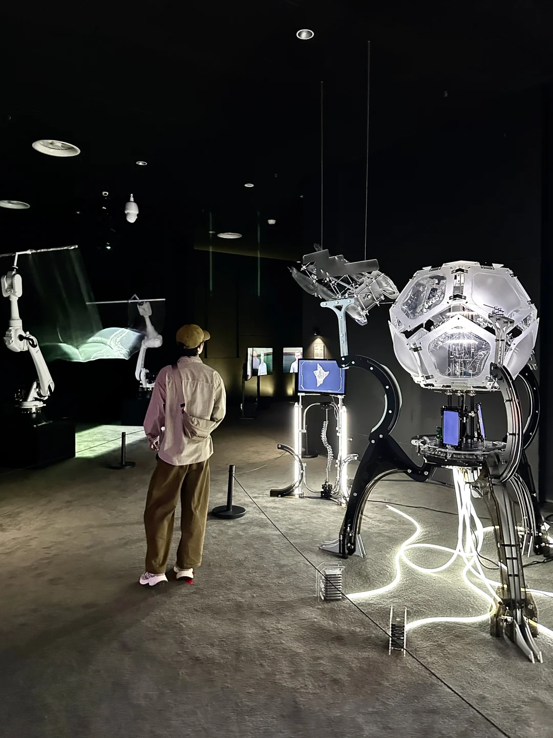 头次看到这么多AI的展！仿佛进入未来世界！