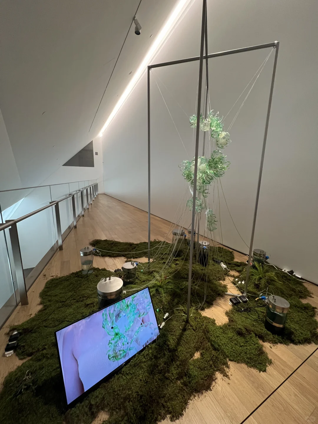 ?五一必冲!马斯克同款占卜展藏在北京!