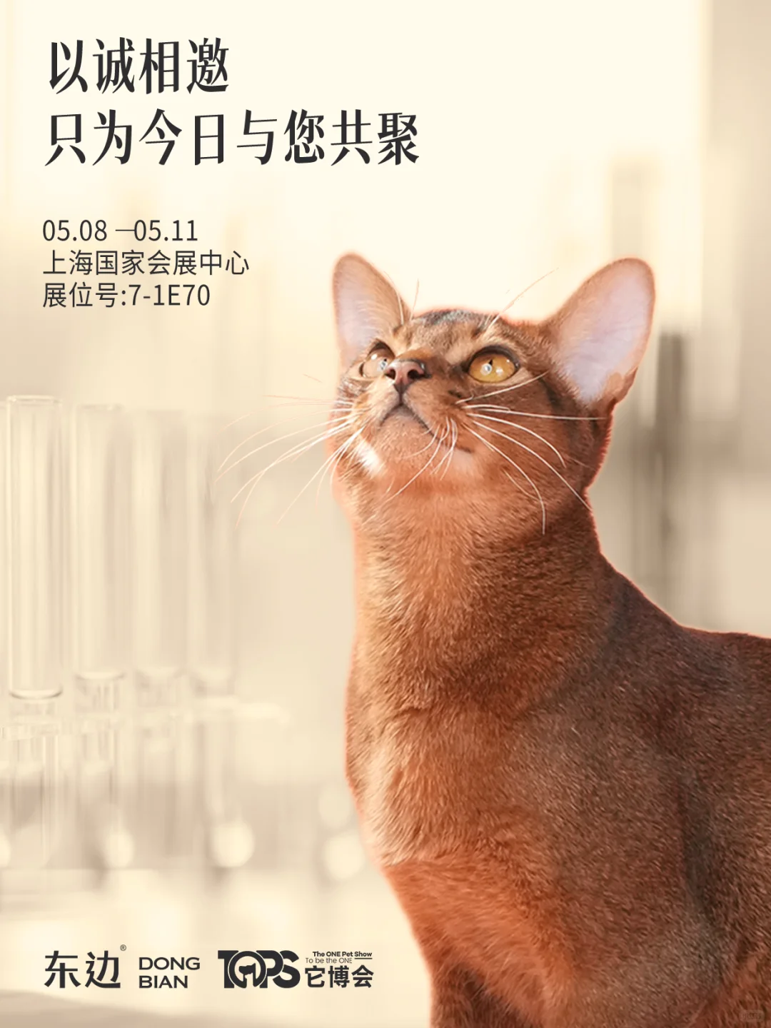 它博会 | 以诚相邀，东边期待与你见面