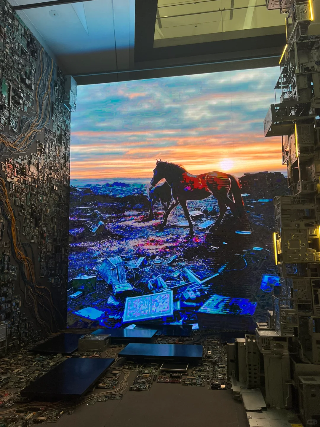 ?五一必冲!马斯克同款占卜展藏在北京!