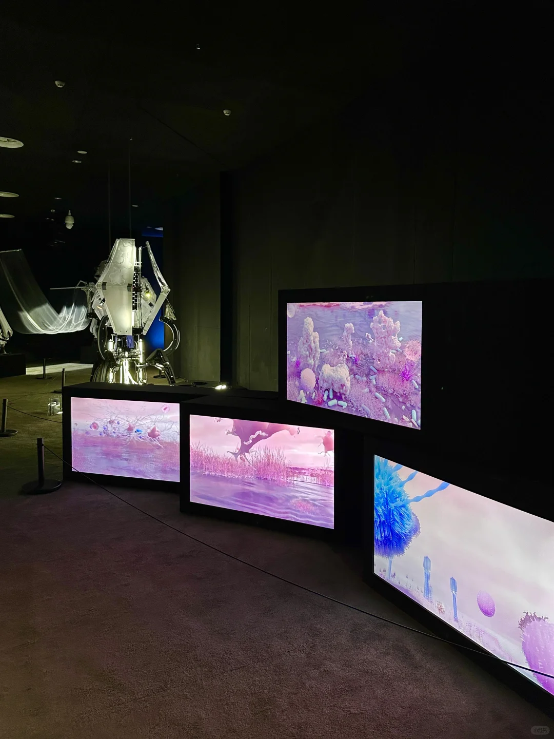 头次看到这么多AI的展！仿佛进入未来世界！