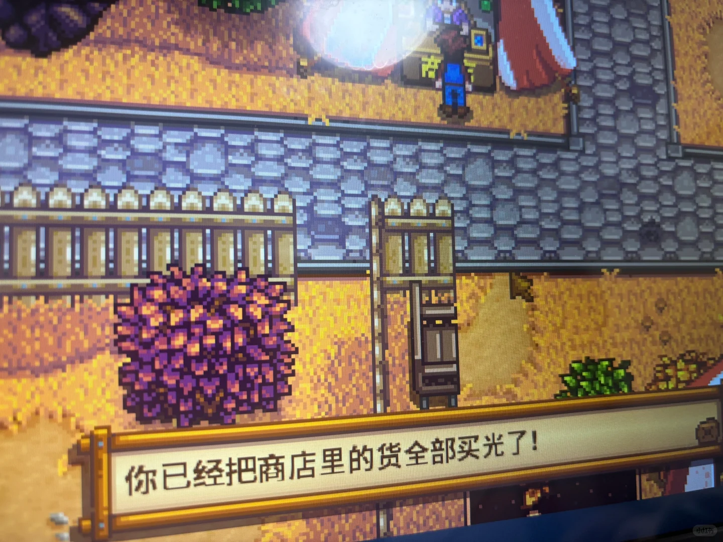 星露谷第二年展览会