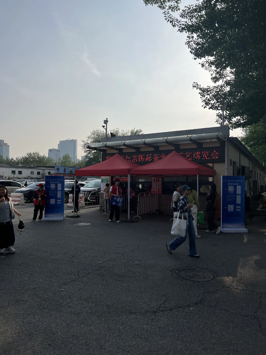 4.19北京茶博会逛展日记|附逛展攻略