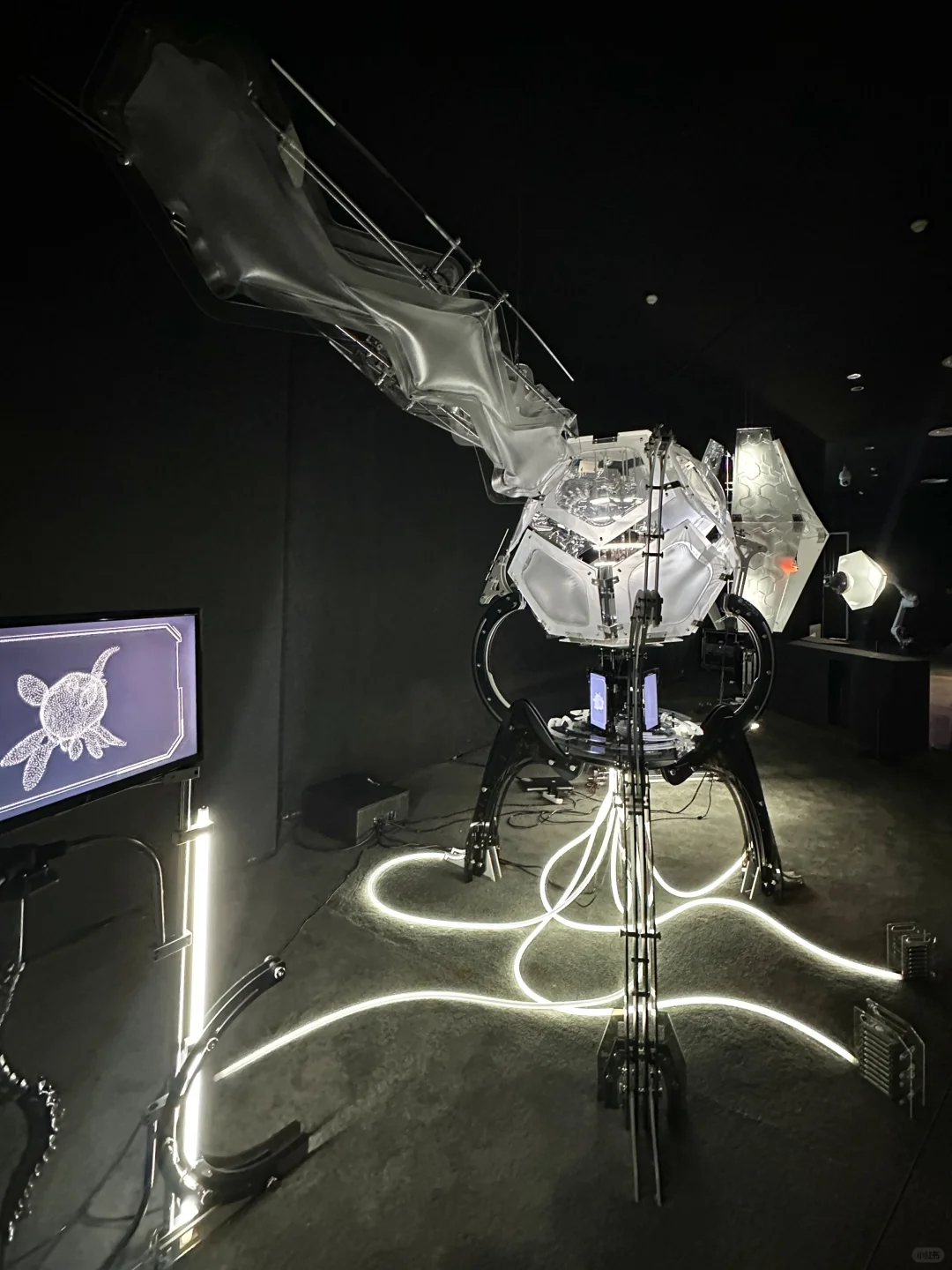 头次看到这么多AI的展！仿佛进入未来世界！