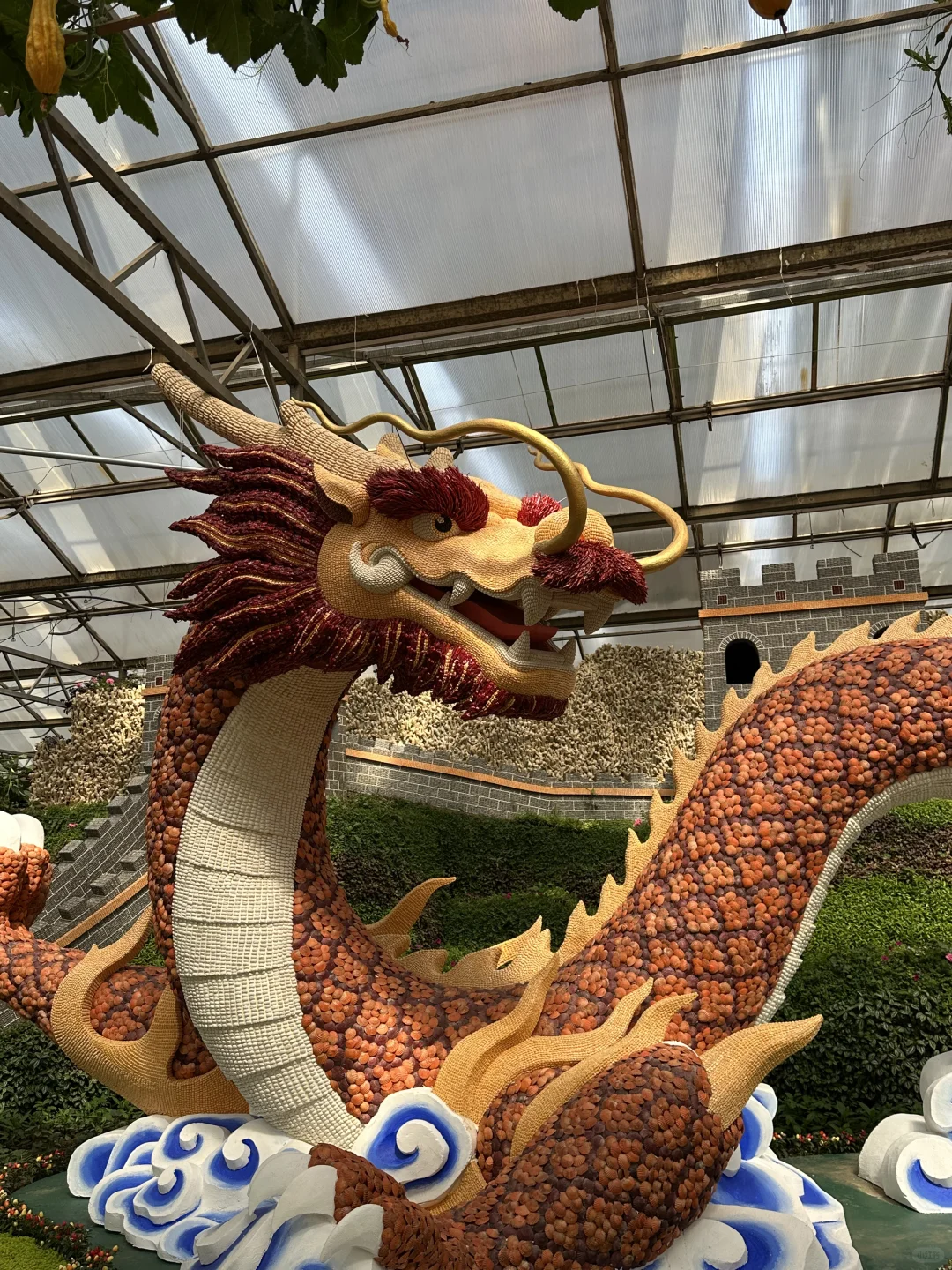 15年后再来菜博会，巨型南瓜见证我长大了