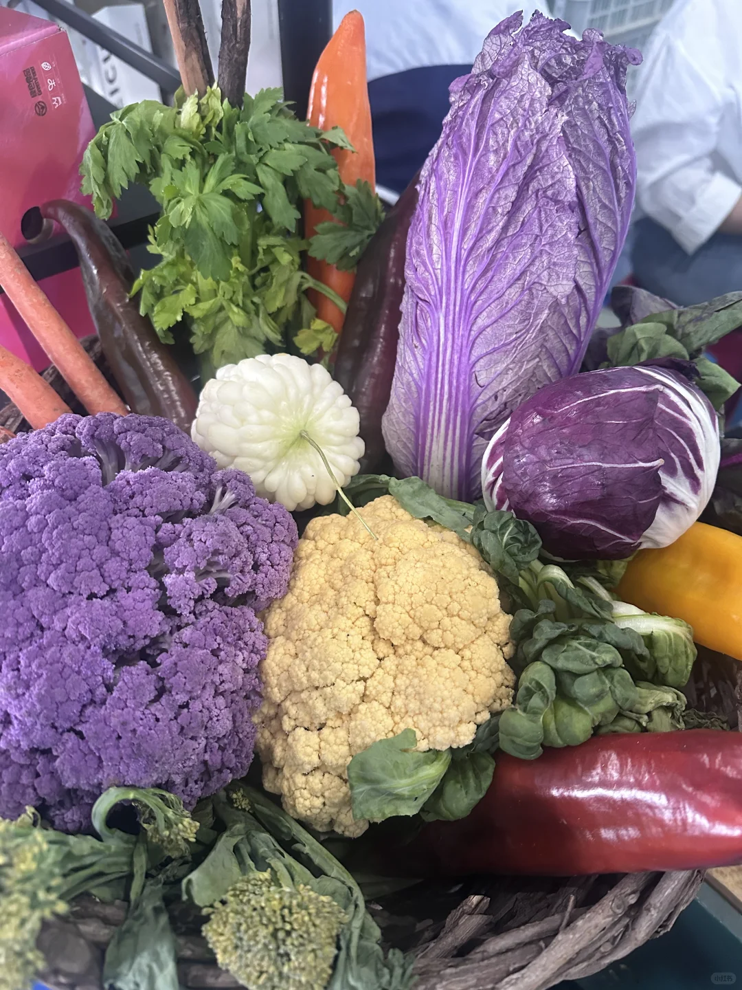 15年后再来菜博会，巨型南瓜见证我长大了