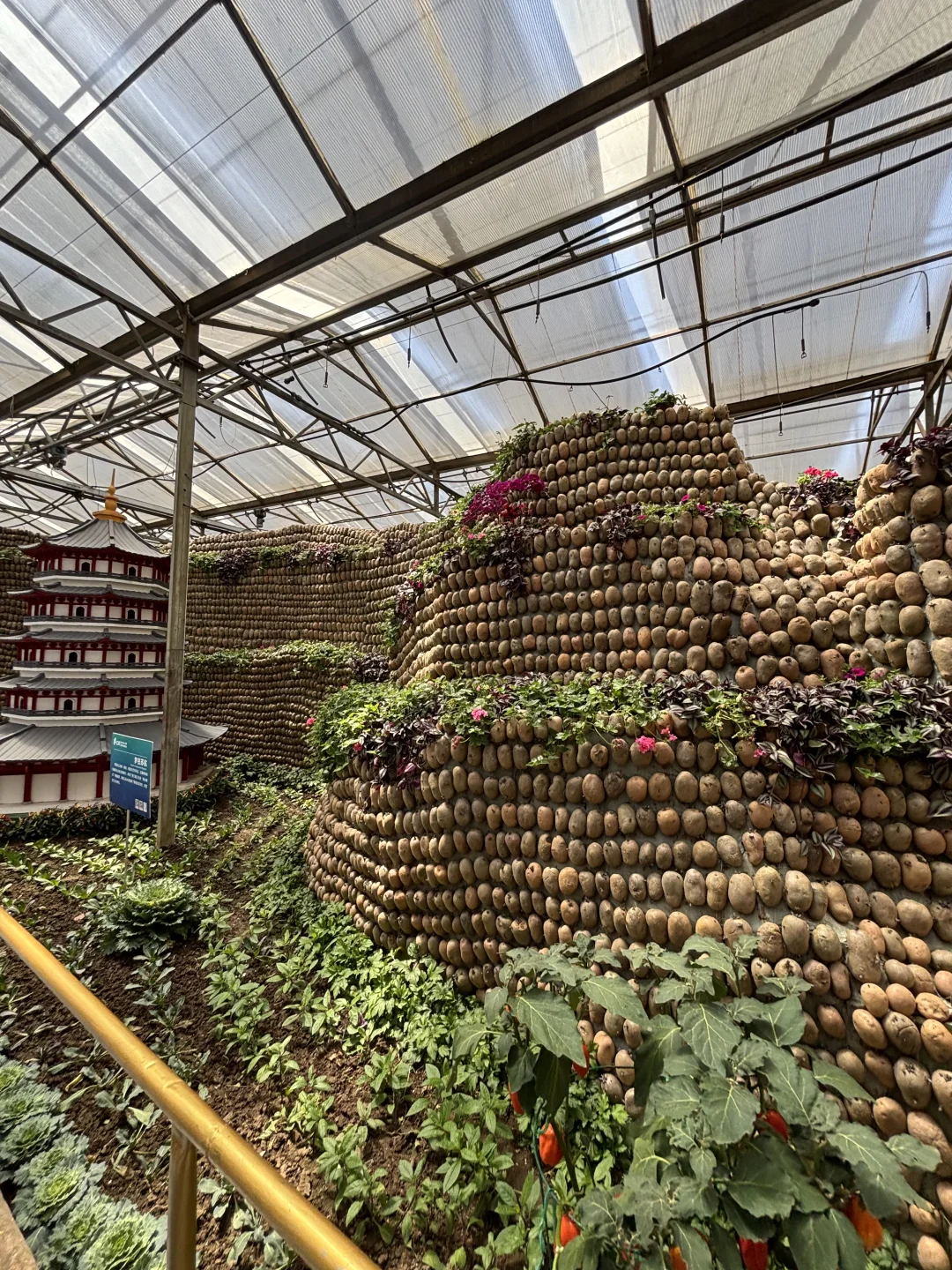 ?潍坊寿光蔬菜博览会保姆级攻略✅✅