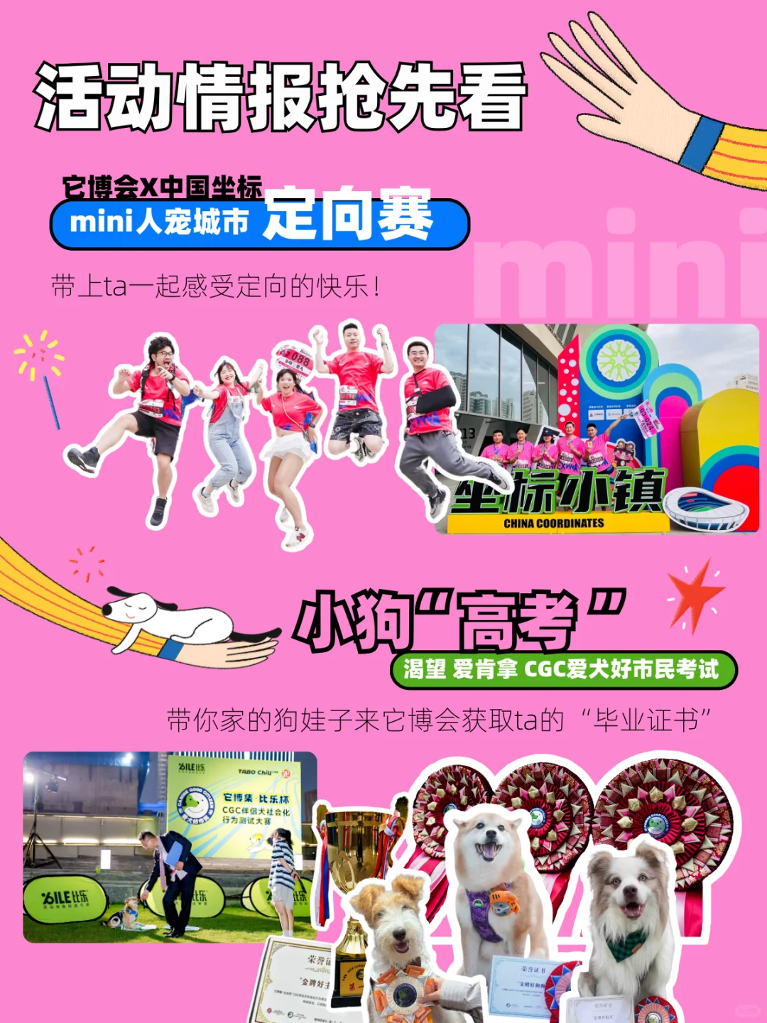 揪毛孩子们来它博玩啦！