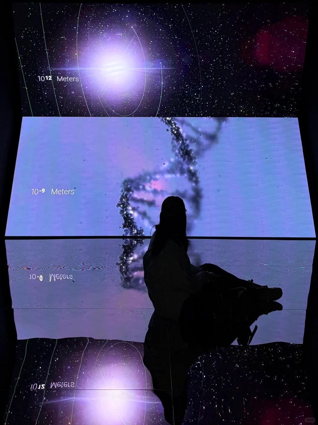 上海从不缺震撼的展‼️分分钟拥有人生照片?