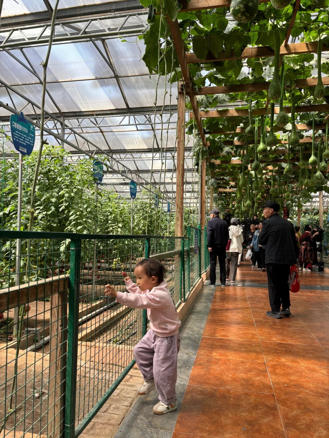 ?潍坊寿光蔬菜博览会保姆级攻略✅✅