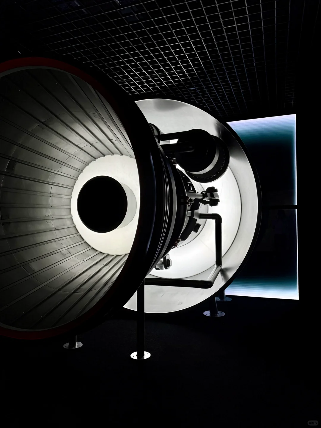 上海从不缺震撼的展‼️分分钟拥有人生照片?