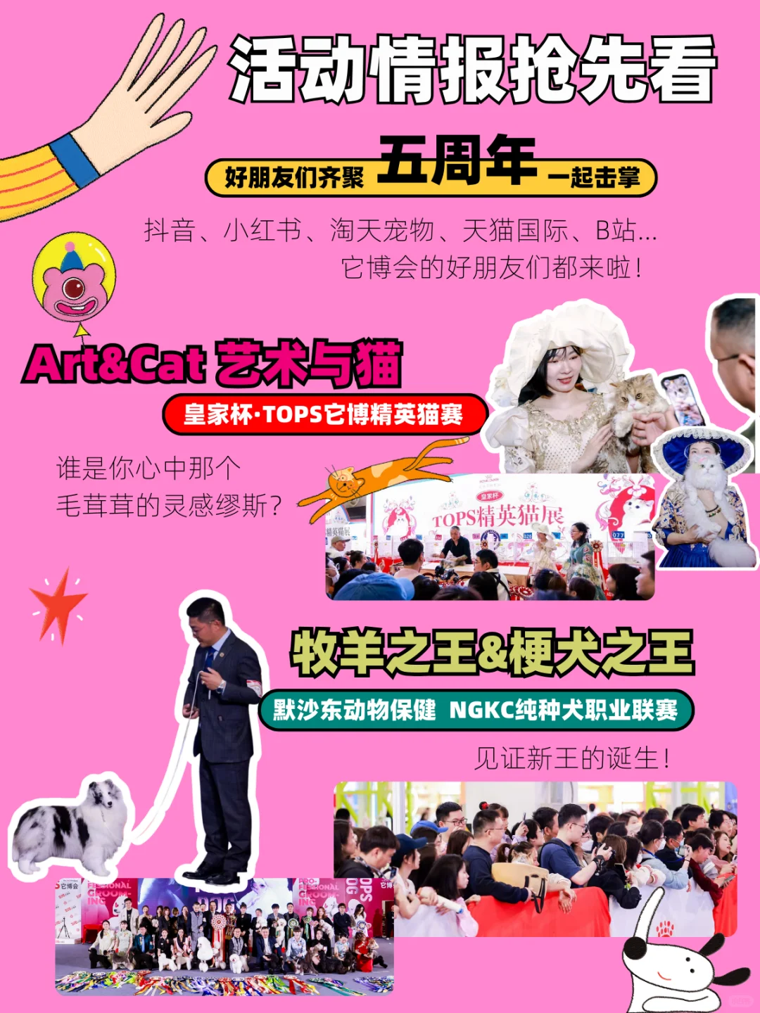 揪毛孩子们来它博玩啦！