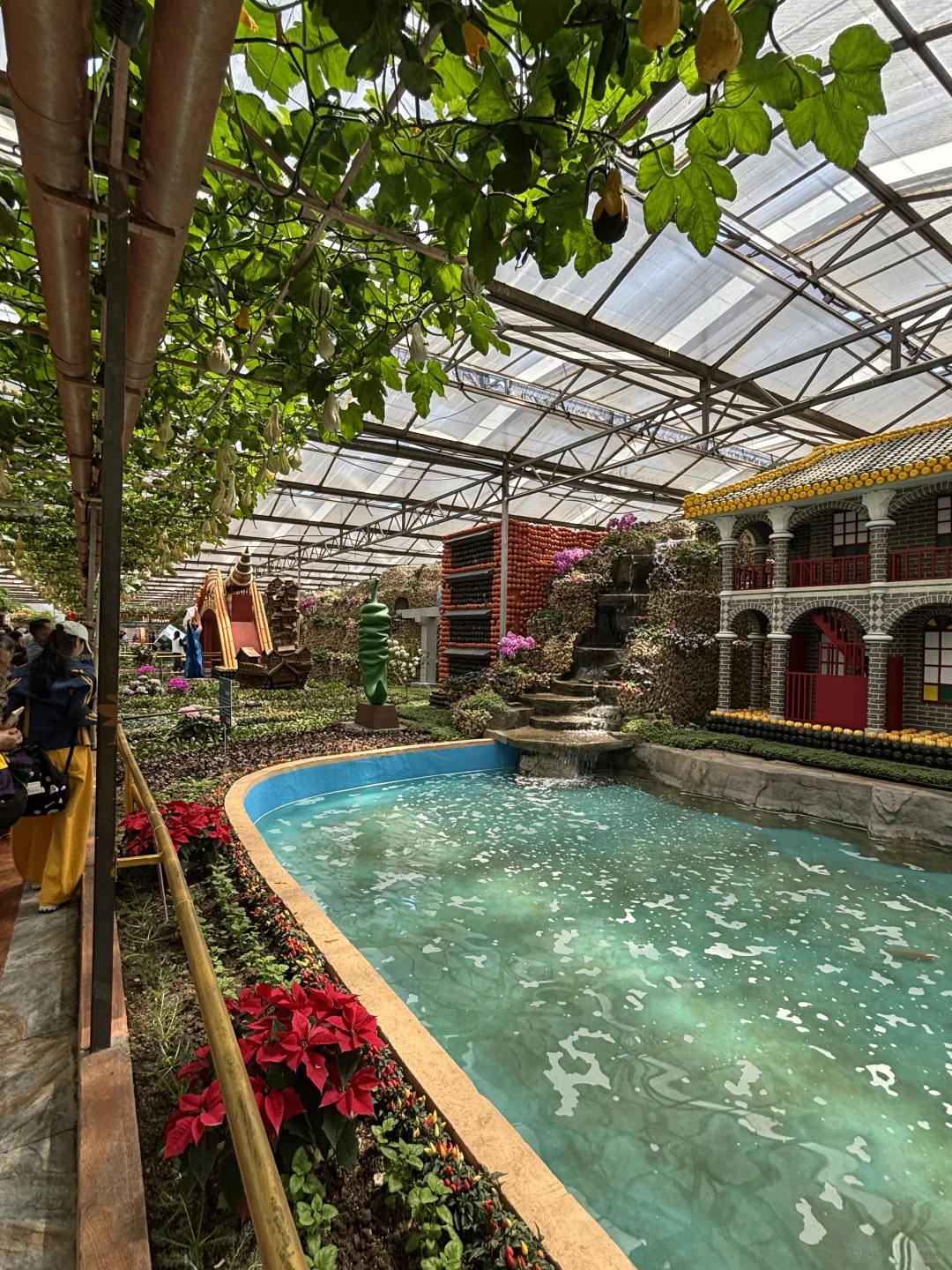 ?潍坊寿光蔬菜博览会保姆级攻略✅✅