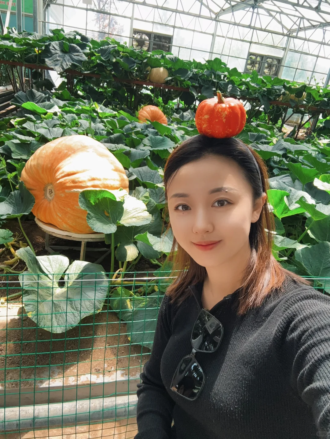 ?潍坊寿光蔬菜博览会保姆级攻略✅✅