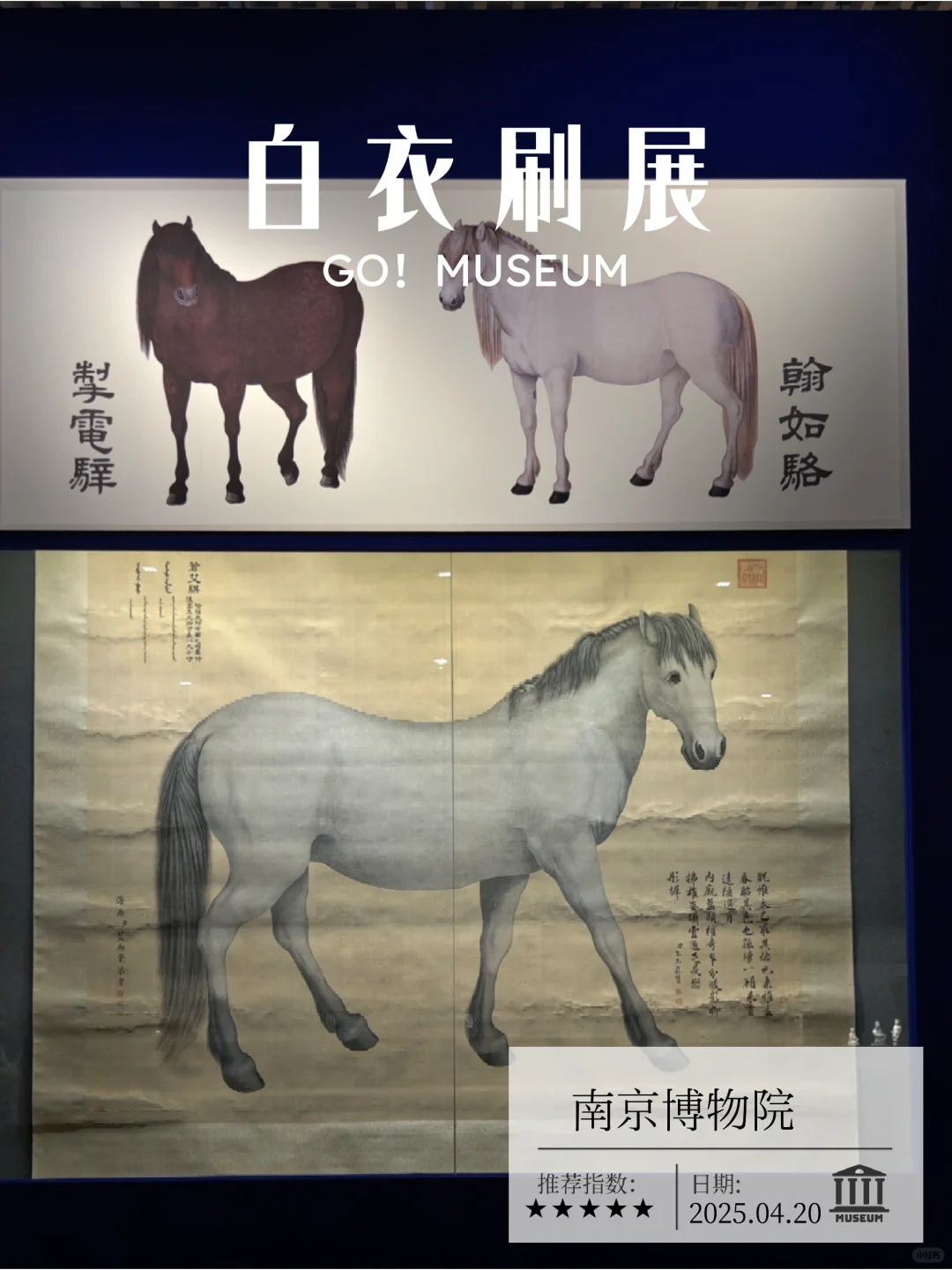 25年开幕的江浙沪最好展览“观天下”