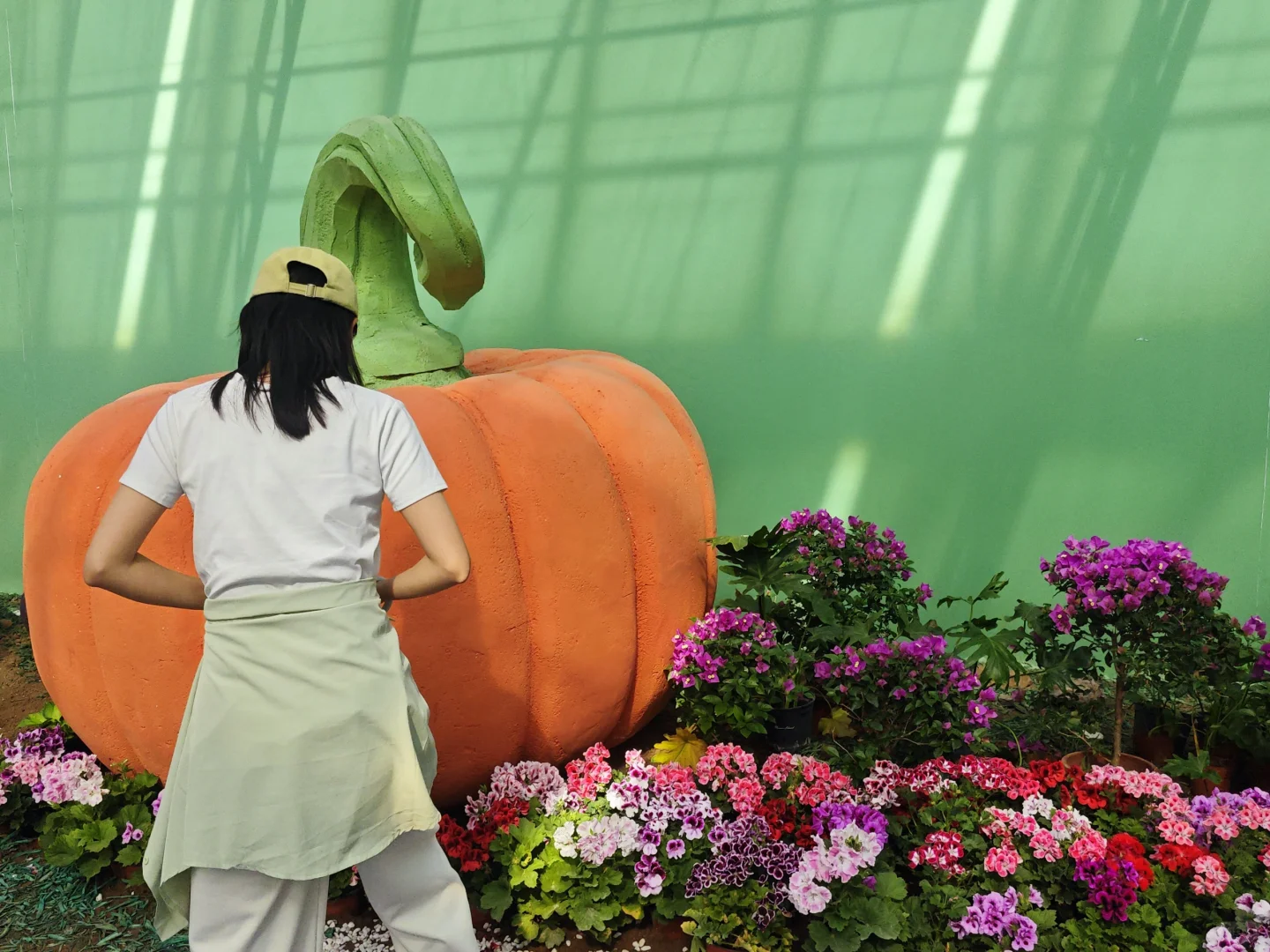 打卡寿光蔬菜博览会花卉馆篇