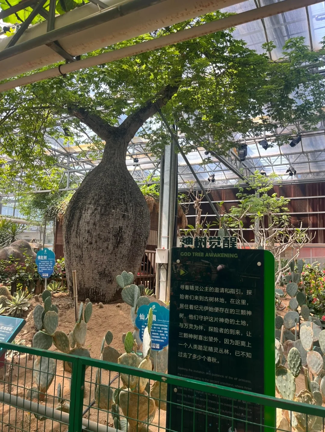 15年后再来菜博会，巨型南瓜见证我长大了