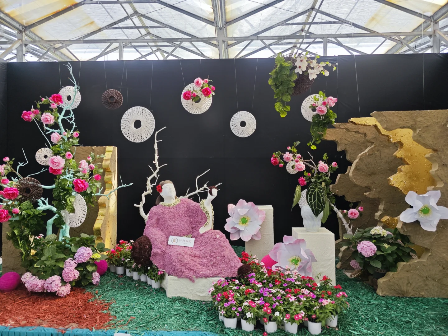 打卡寿光蔬菜博览会花卉馆篇