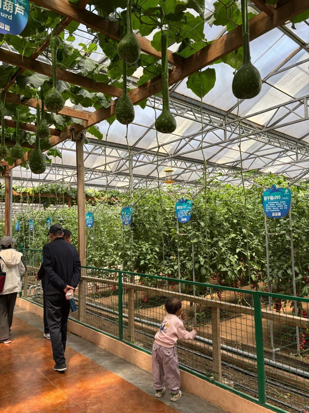 ?潍坊寿光蔬菜博览会保姆级攻略✅✅