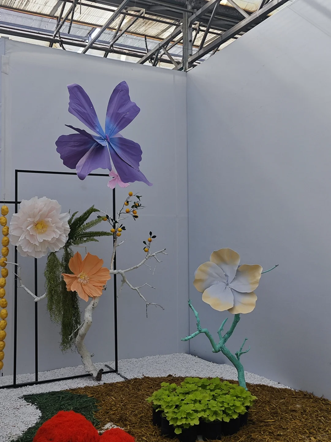 打卡寿光蔬菜博览会花卉馆篇